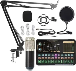 Condenser Microphone Set Professional Studio Microphone Live Sound Card Wireless Adjustable Microphone