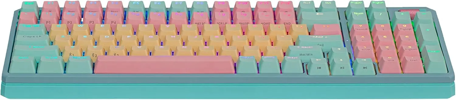 Cooler Master MK770 Macaron Wireless Mechanical RGB Gaming Keyboard, Kailh Box V2 Click White Switches, Gasket Structure, Hot-Swappable, Bluetooth|2.4GHz, Tactile 3-Way Dial, QWERTY (MK-770-MCKW1-US)
