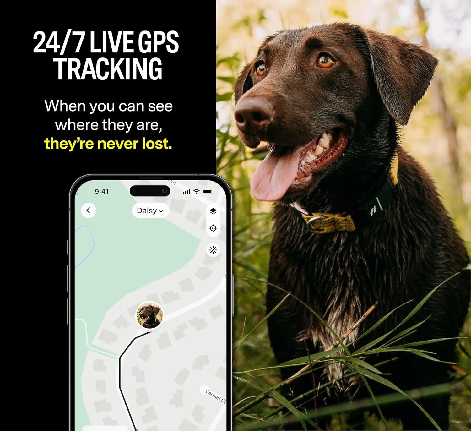 Fi Series 3 Smart Dog Collar - GPS Dog Tracker and Activity & Fitness Monitor, Waterproof, LED Light, Escape Alerts, Nationwide Coverage [Free 6 Month Membership] (Yellow, Large)