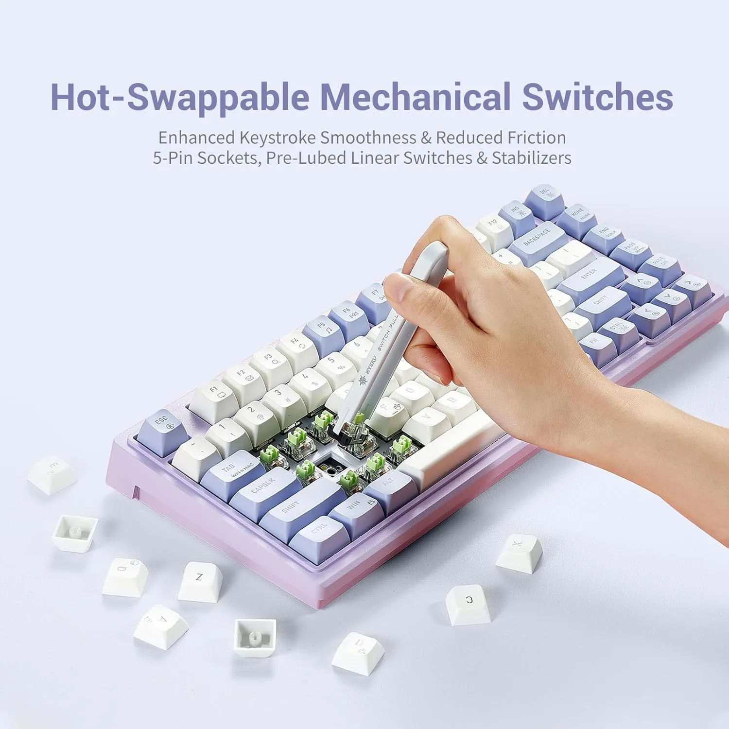 Hexgears Purple Rain M2 Wired TKL Mechanical Gaming Keyboard, 83-Key Hot-Swappable Creamy Keyboard, Pre-Lubed Linear Switches, Double-Shot PBT & ABS Keycaps, Custom Gasket Mount
