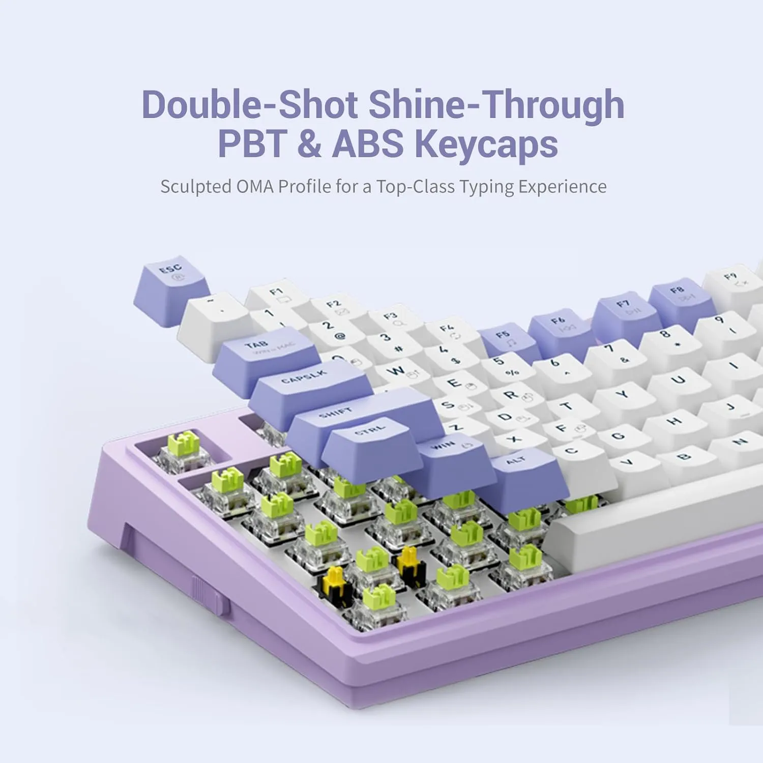 Hexgears Purple Rain M2 Wired TKL Mechanical Gaming Keyboard, 83-Key Hot-Swappable Creamy Keyboard, Pre-Lubed Linear Switches, Double-Shot PBT & ABS Keycaps, Custom Gasket Mount
