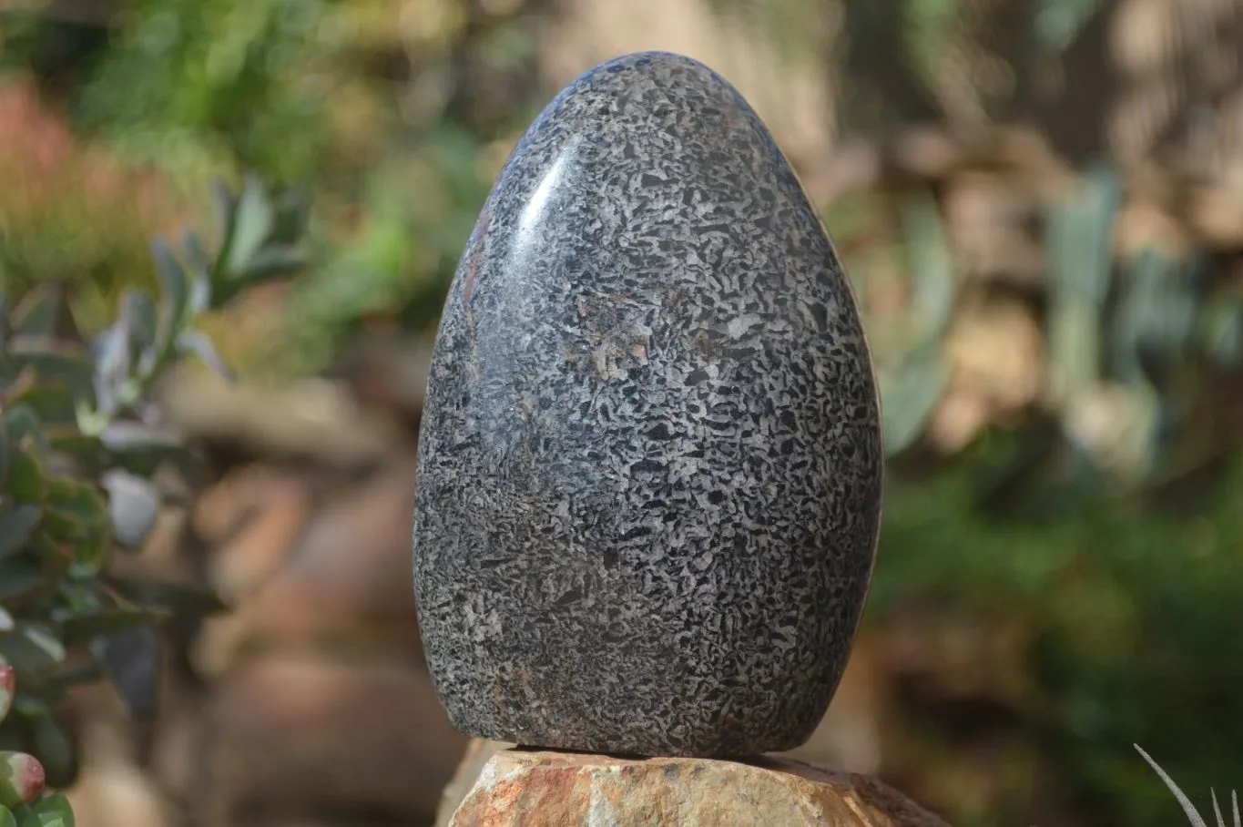 Polished Black Tourmaline Matrix Standing Free Forms x 2 From Madagascar
