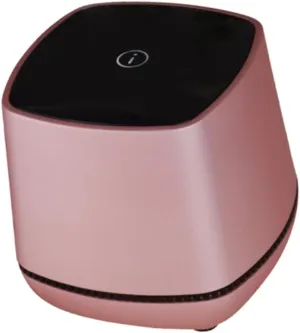 Portable USB Powered Desktop Speaker Wired Mini Bass Sound Music Player for Compact Rose Design for Laptops and Cell Phones